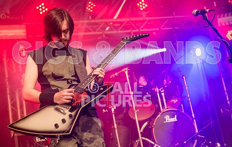 Chaos 2013_Demise of Sanity-22 - DEMISE OF SANITY