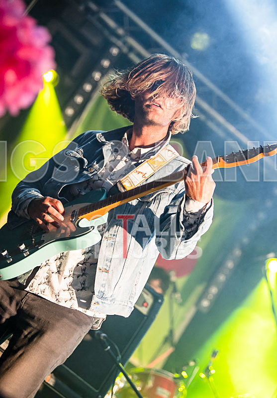 Surfin Birds-12 - SURFIN' BIRDS