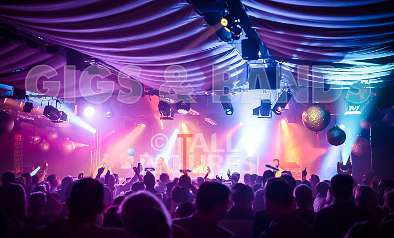 King Rat  the Soul Cats-407 - KING RAT AND THE SOUL CATS