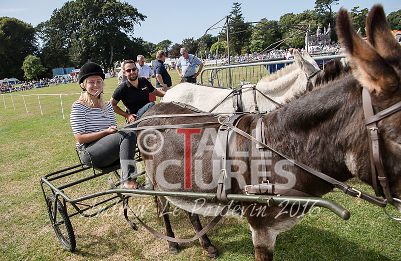Donkey Derby_2016-29 - LIONS CLUB DONKEY DERBY 2016