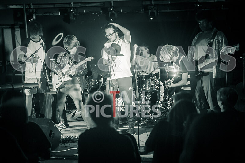 Australian Death Roach-41 - AUSTRALIAN DEATH ROACH