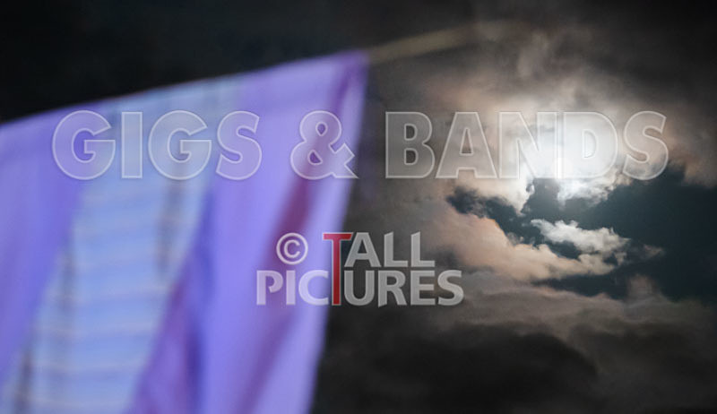 Vale Earth Fair 2018_SCENE-19 - VALE EARTH FAIR 2018_THE SCENE