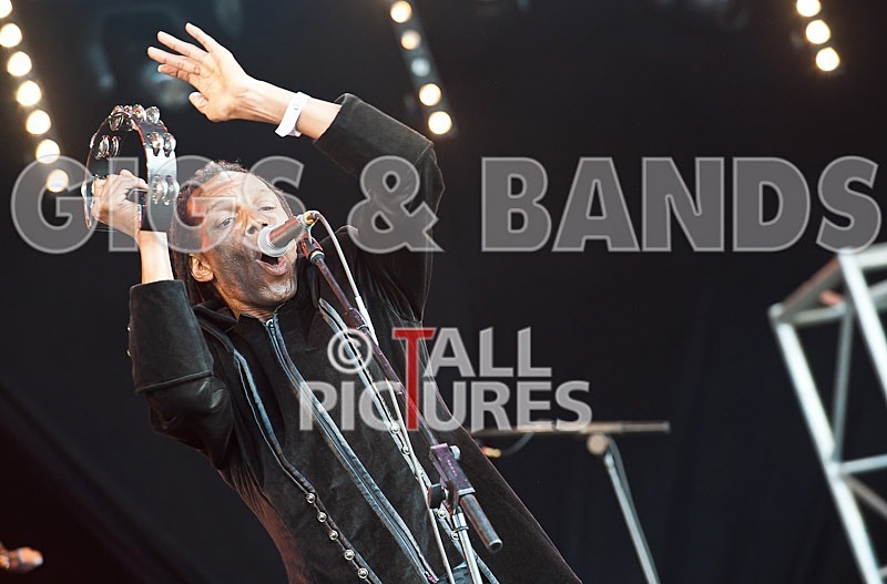 The Beat-40 - THE BEAT