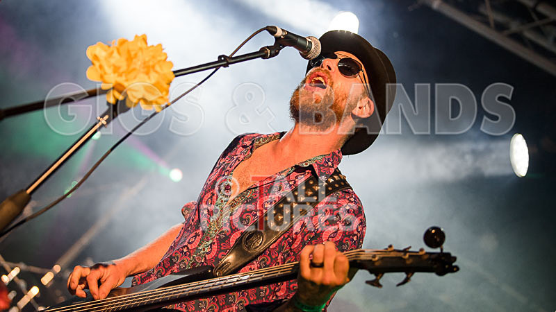 Surfin Birds-22 - SURFIN' BIRDS