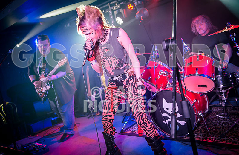 Pussycat and the Dirty Johnsons-96 - PUSSYCAT AND THE DIRTY JOHNSONS