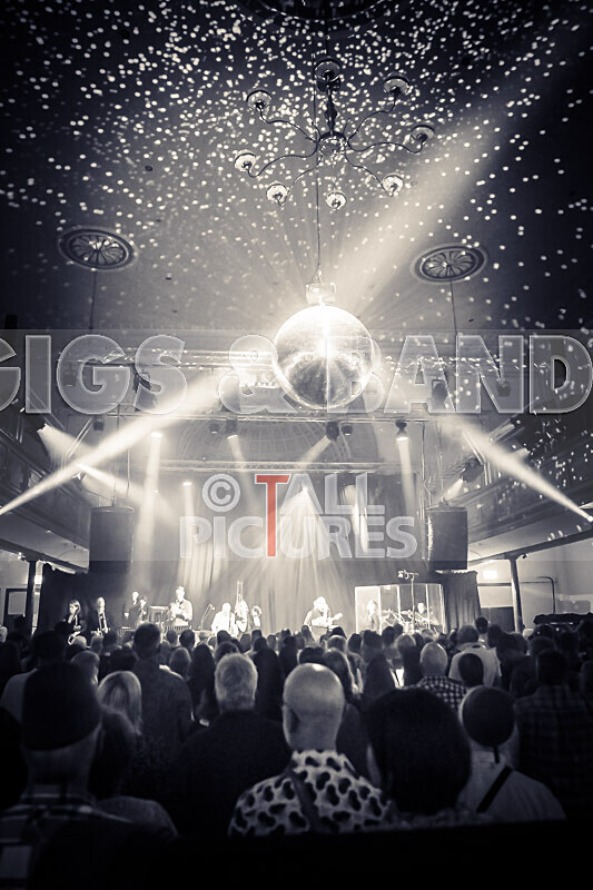 King Rat the Soul Cats-501 - KING RAT & THE SOUL CATS