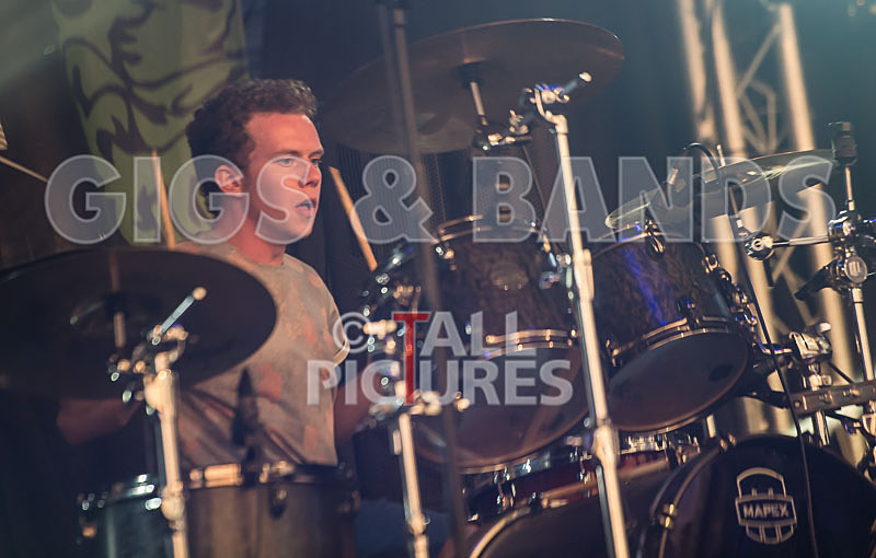 Rat Salad-16 - RAT SALAD