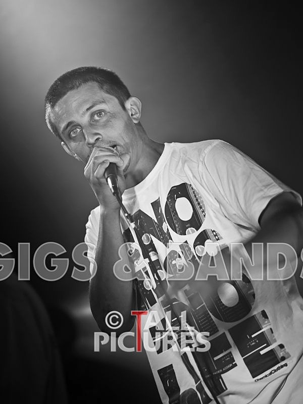 Asylum Seekas-4 - ASYLUM SEEKAS AT IVY CASTLE