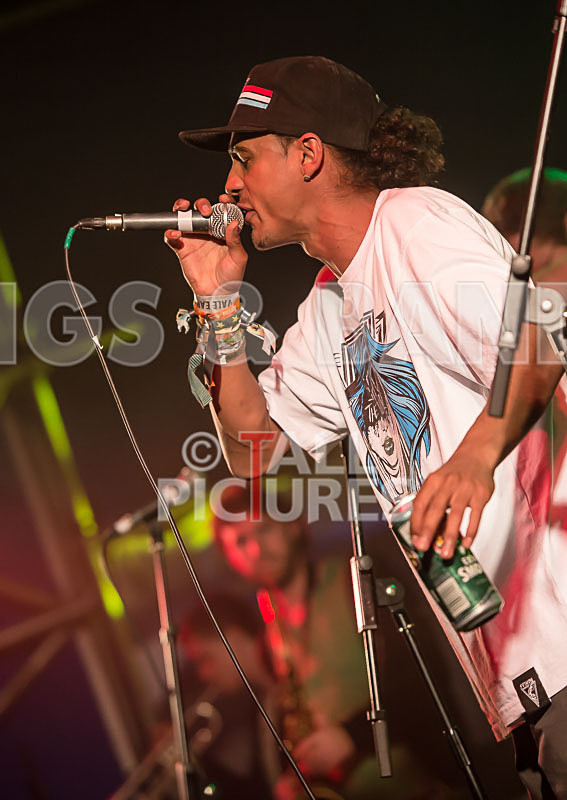 The Mouse Outfit-16 - THE MOUSE OUTFIT