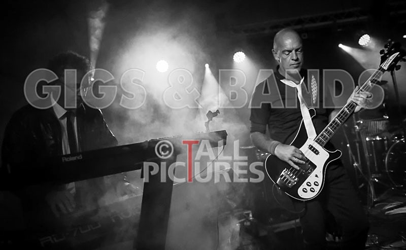 Blondied-10 - BLONDIED