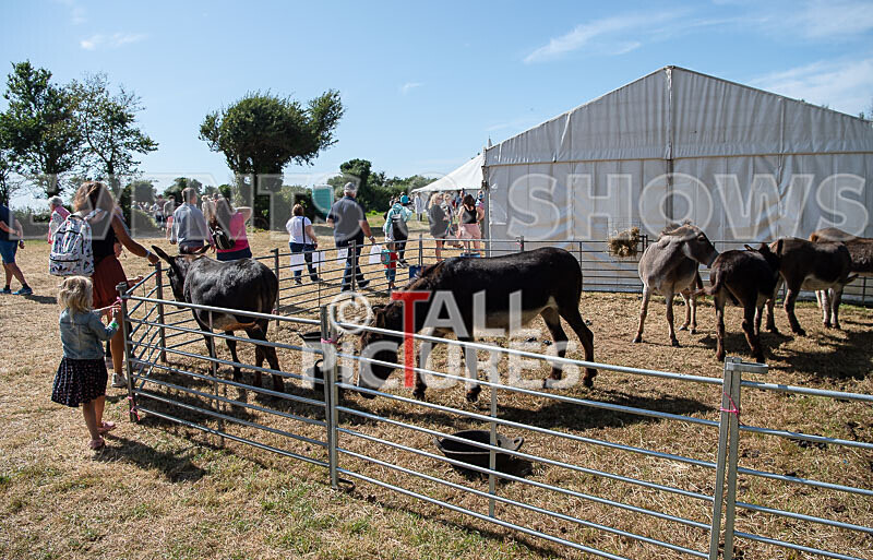 Guernsey Agricultural Show 2021-187 - GUERNSEY AGRICULTURAL SHOW 2021
