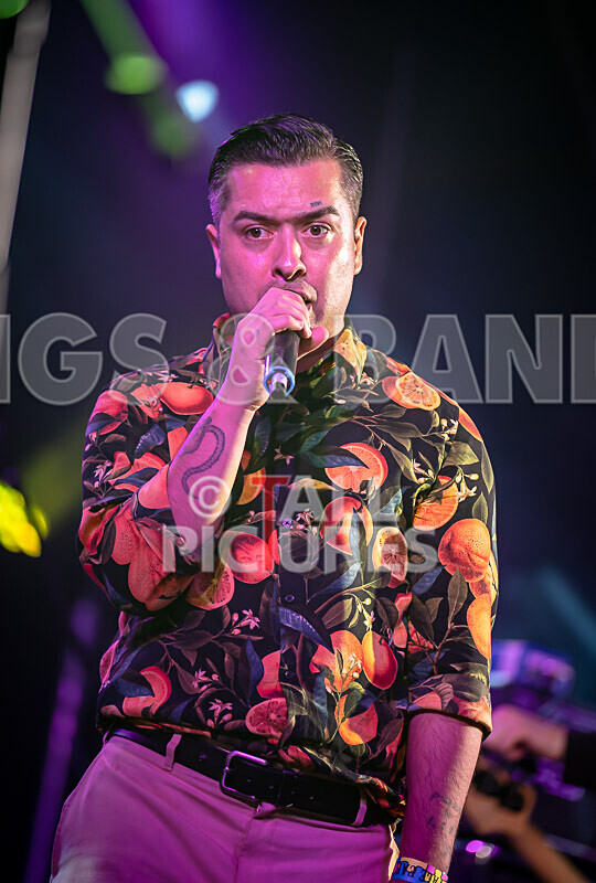 The King Blues-8 - THE KING BLUES