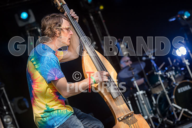 Buffalo Huddleston-382 - BUFFALO HUDDLESTON