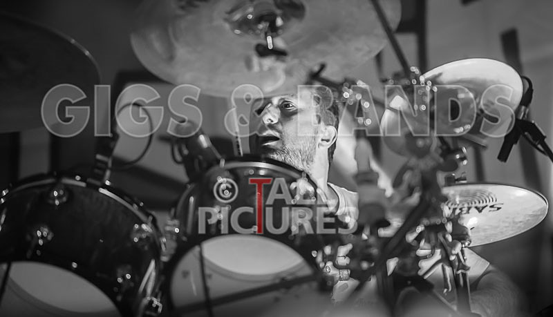 Spunge-100 - [spunge]