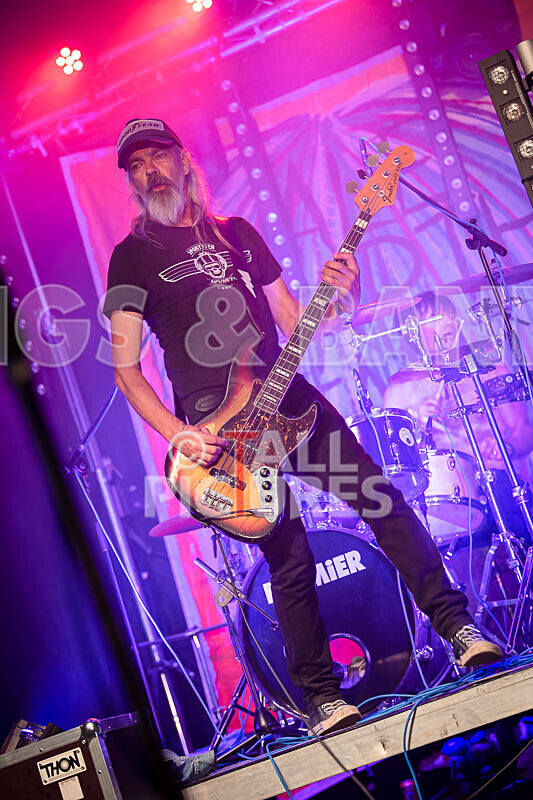 The Electric Shakes-211 - THE ELECTRIC SHAKES