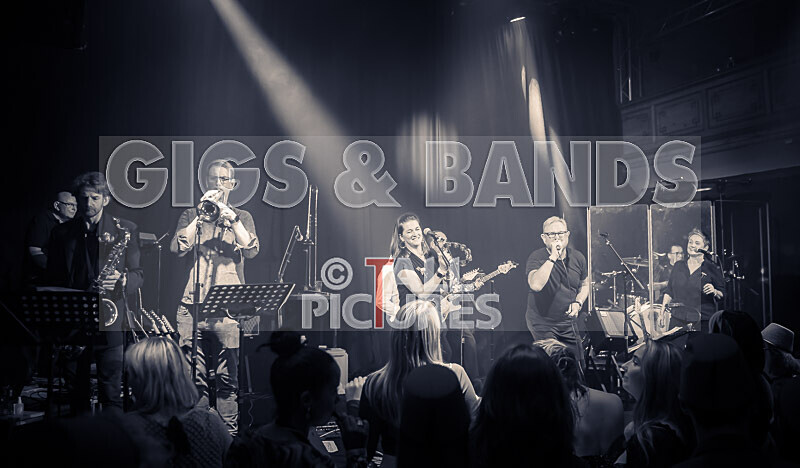 King Rat the Soul Cats-507 - KING RAT & THE SOUL CATS