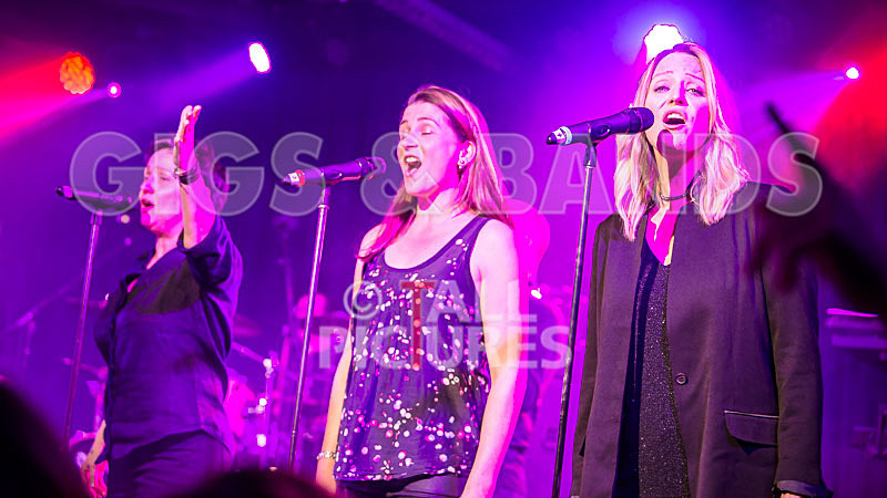 King Rat_30th Birthday Gig-63 - KING RAT AND THE SOUL CATS 30th BIRTHDAY