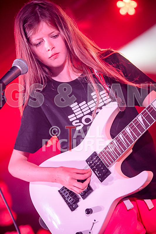 The Flaming Flamingos-5 - THE FLAMING FLAMINGOES