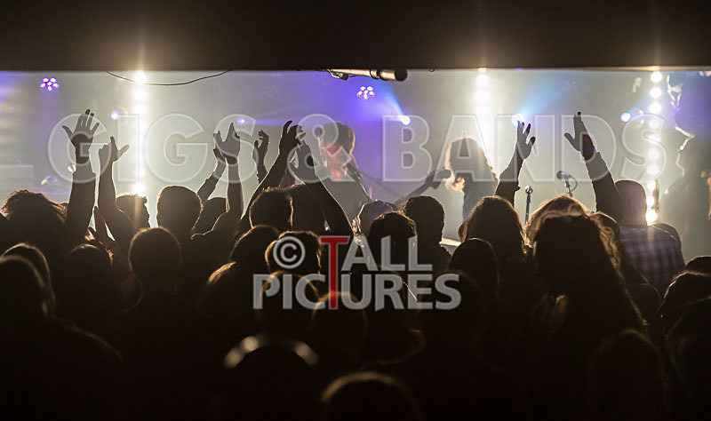 Yes Sir Boss-45 - YES SIR BOSS