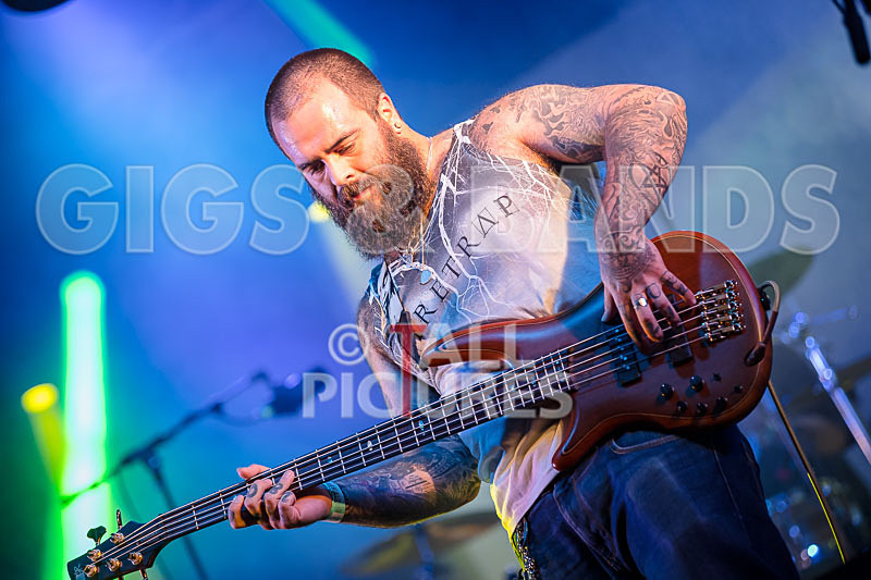 Static Alice-623 - STATIC ALICE