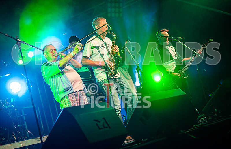 The Risk-435 - THE RISK