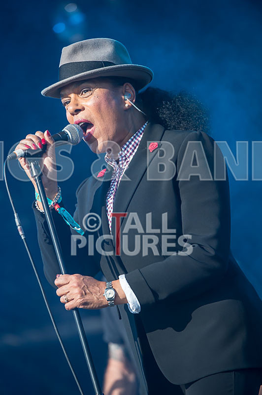 The Selecter-75 - THE SELECTER