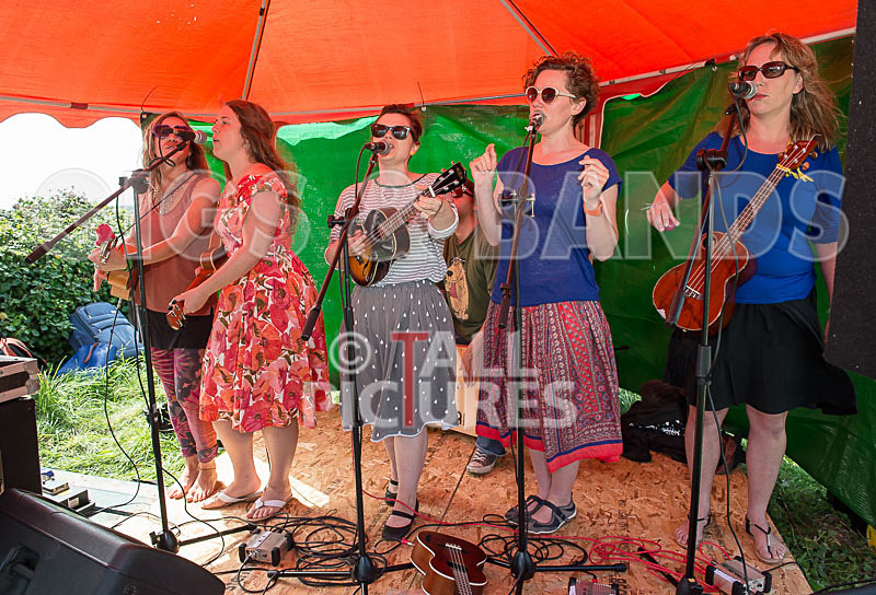 Vale Earth Fair 2015-1 - VALE EARTH FAIR 2015 - THE PRESS EDIT