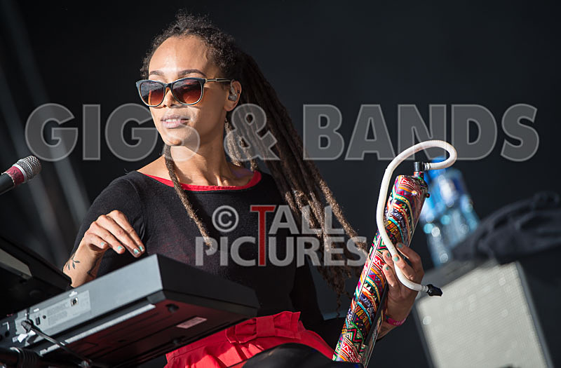 The Skints-15 - THE SKINTS