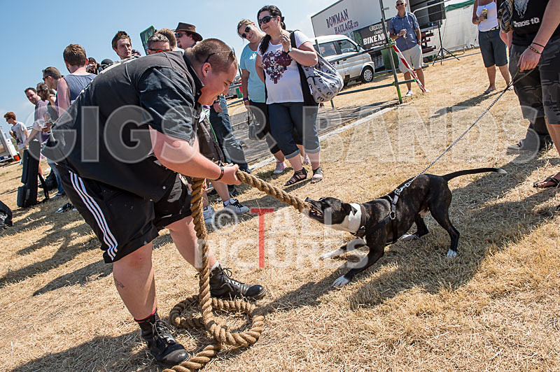 Chaos 2014_The Atmosphere-181 - CHAOS 2014... THE ATMOSPHERE