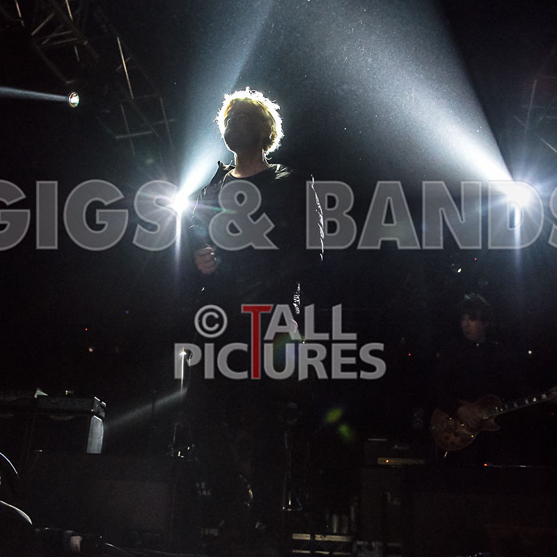 The Charlatans-100 - THE CHARLATANS