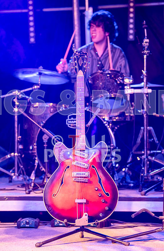 Surfin Birds-45 - SURFIN' BIRDS