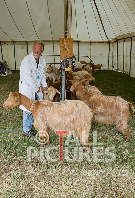 West Show_2014-11 - THE WEST SHOW 2014