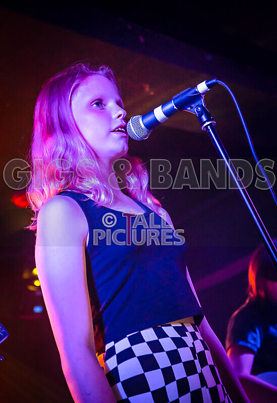 Crocspiracy-15 - CROCSPIRICY