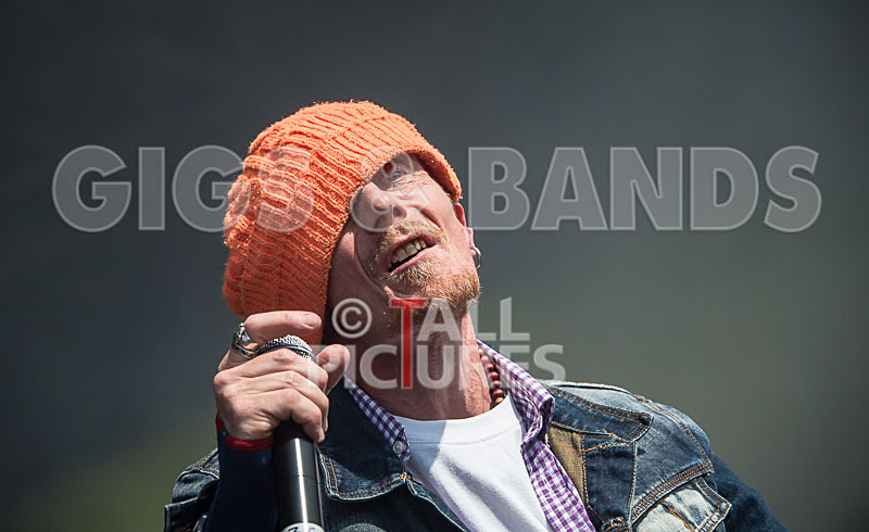 Stereo MCs-35 - STEREO MC's