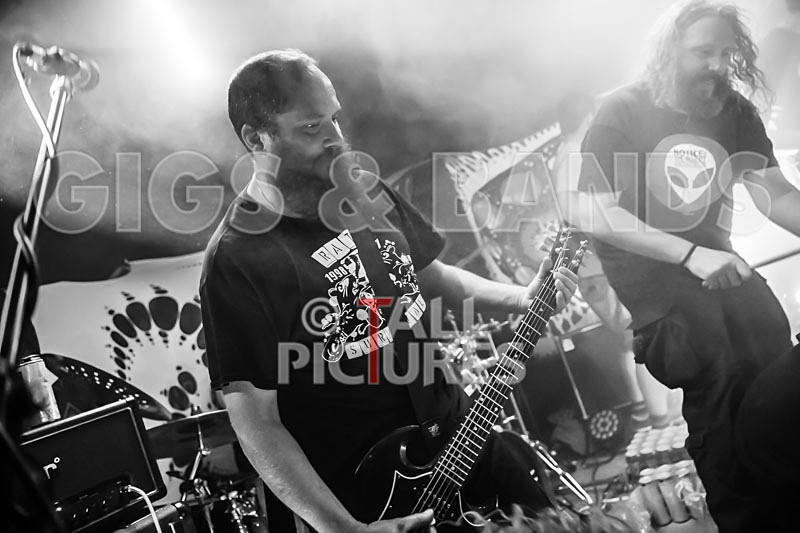 Mechanical Lobster-30 - MECHANICAL LOBSTER