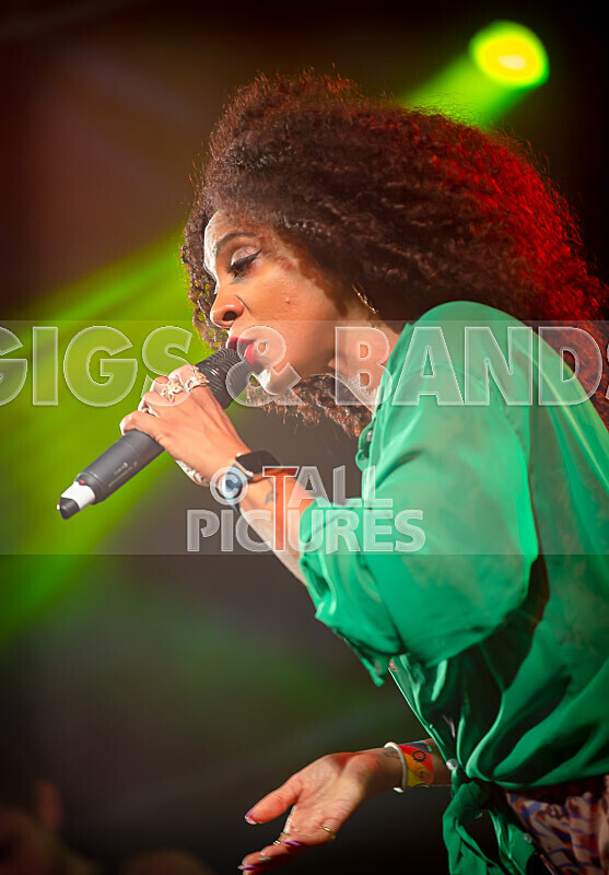 Hollie Cook-7 - HOLLIE COOK