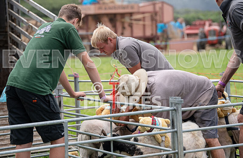 Guernsey Agricultural Show 2021-93 - GUERNSEY AGRICULTURAL SHOW 2021