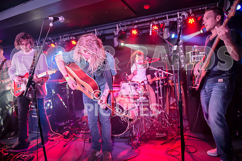 Tadhg Daly-11 - TADHG DALY