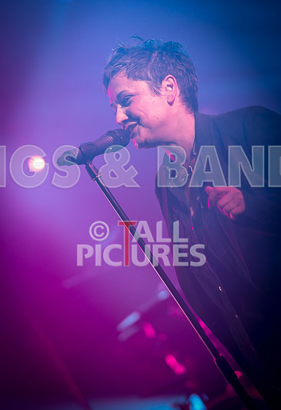 King Rat and the Soul Cats-188 - KING RAT AND THE SOUL CATS