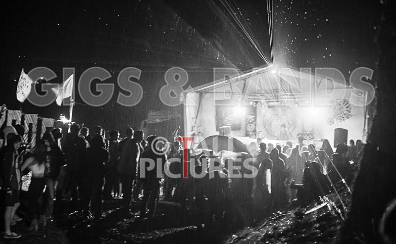 Vale Earth Fair 2015_Atmosphere-46 - VALE EARTH FAIR 2015_THE ATMOSPHERE