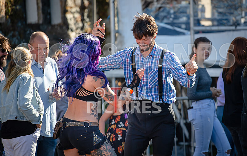 Vale Earth Fair 2020_THE SCENE-129 - VALE EARTH FAIR 2020_THE SCENE