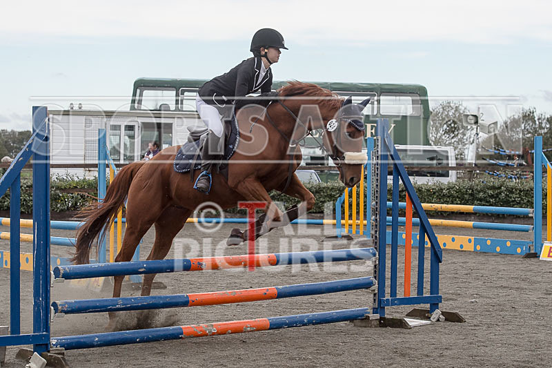 North Showjumping_2016-96 - NORTH SHOW SHOWJUMPING 2016
