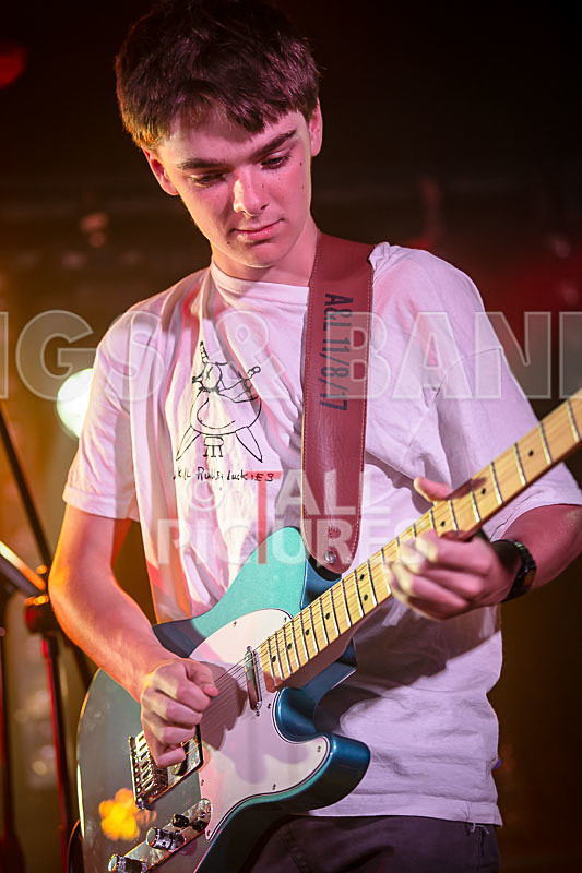 Unconventional Sponge-20 - UNCONVENTIONAL SPONGE