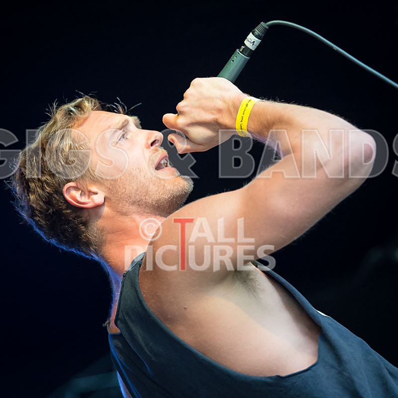 Lizzard Channel-17 - LIZZARD CHANNEL