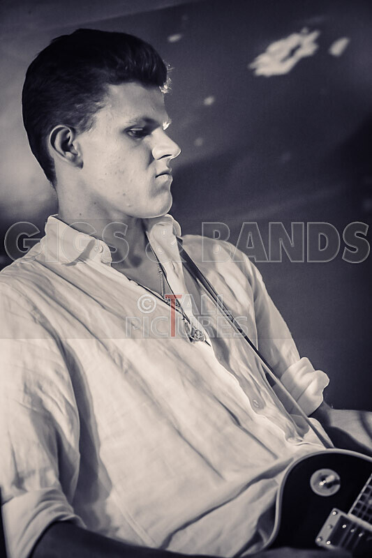 Black Dog-9 - BLACK DOG