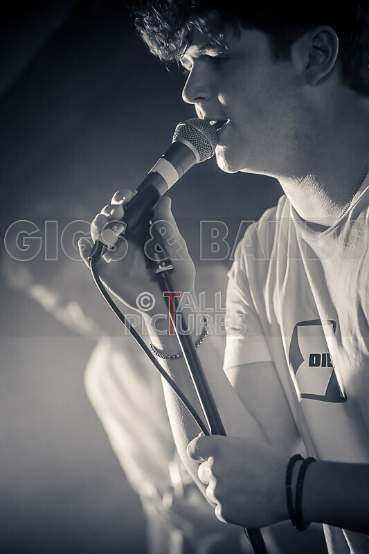 Black Dog-15 - BLACK DOG