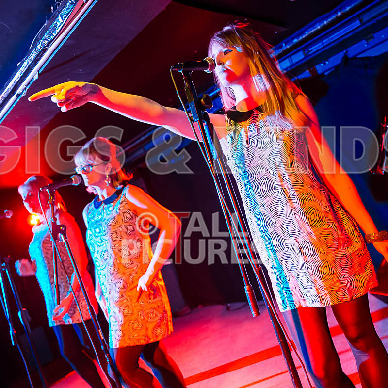 The Blondettes-14 - THE BLONDETTES