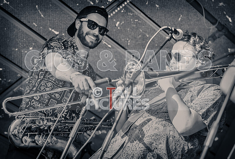 Pam Bindi-14 - PAM BINDI