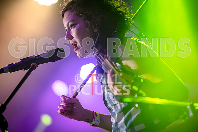 The King Blues-4 - THE KING BLUES