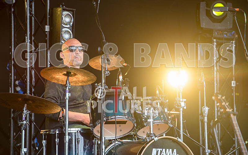 Buffalo Huddleston-426 - BUFFALO HUDDLESTON